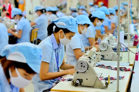 Quy mô thị trường ngành dệt may trong nước như thế nào?